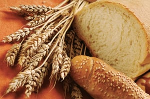 Food 2