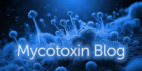 Mykotox-Blog