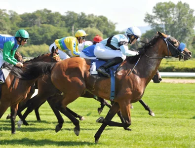 Untersuchung Pferdeurin Dopingkontrolle | © Pferderennen-fotolia_44616117_M